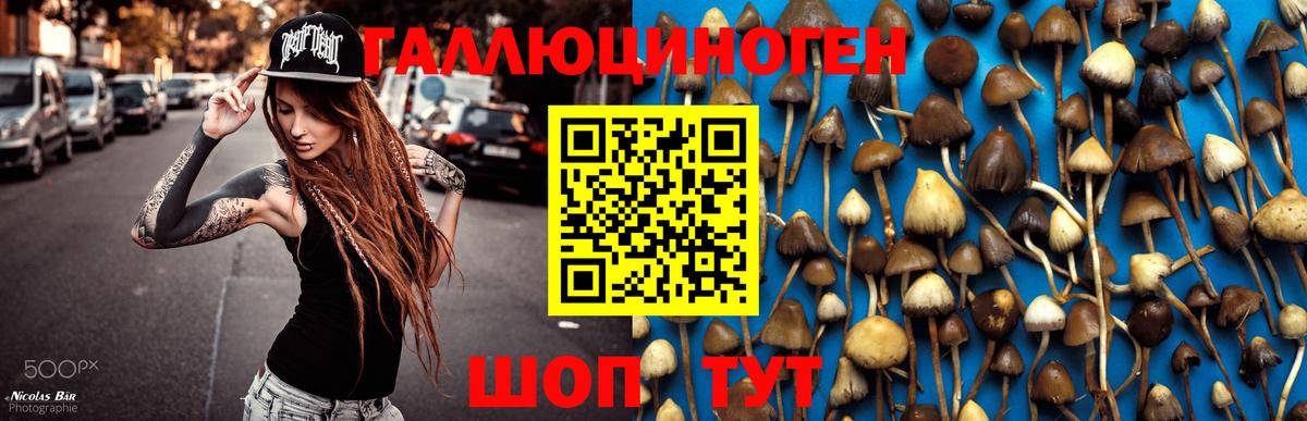 Псилоцибиновые грибы GOLDEN TEACHER  Вход с VPN  Пыть-Ях 